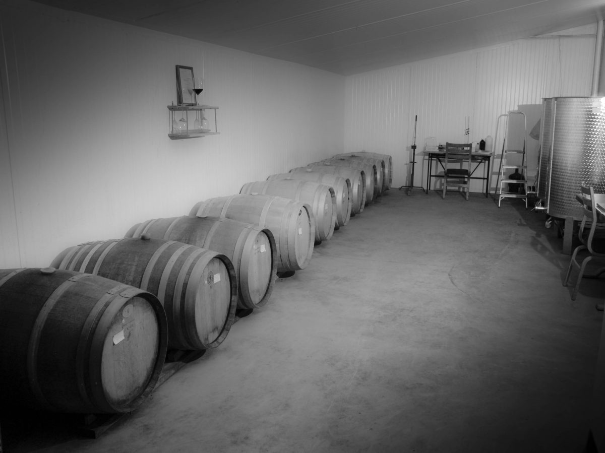 תהליך השפייה שלב חשוב בייצור יין לפני העברתו להתיישנות בחבית